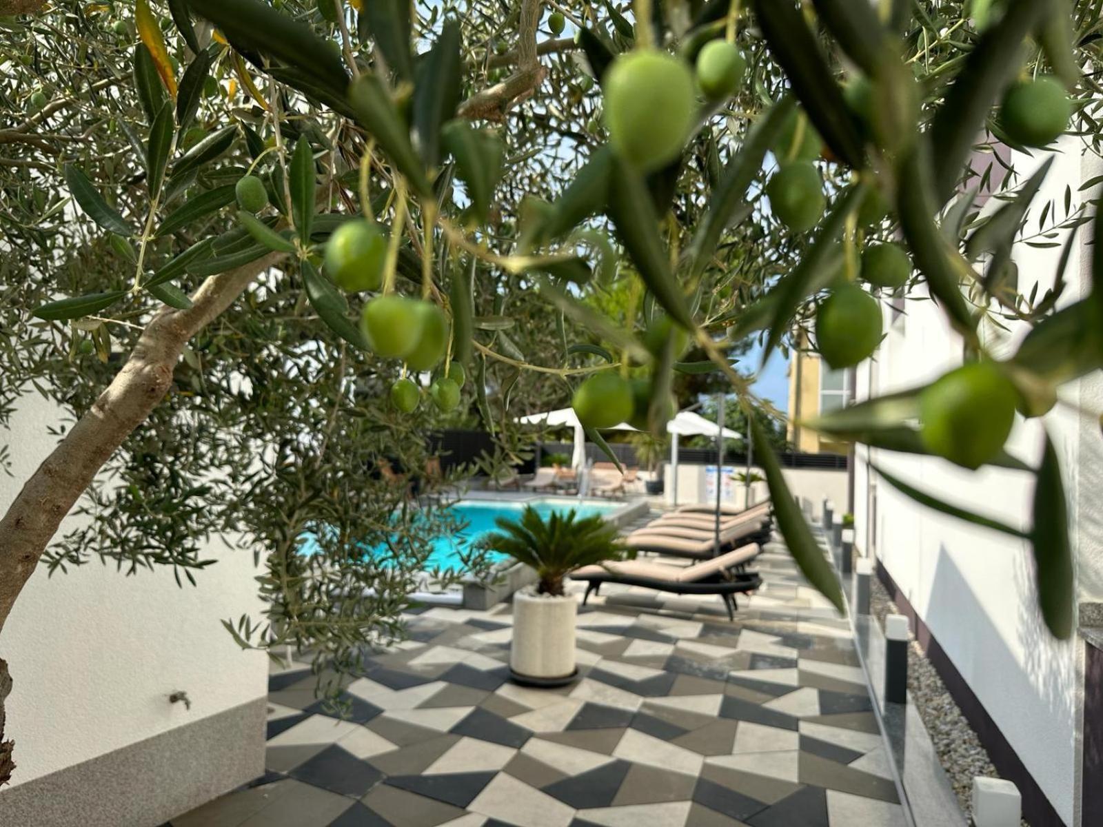 Apartments Laura 1 Привлака Екстериор снимка